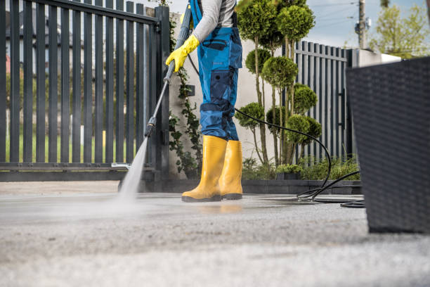 Best Roof Pressure Washing  in Jesup, GA