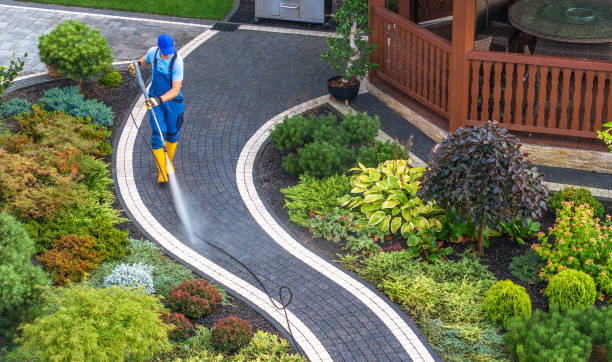 Best Residential Pressure Washing Services  in Jesup, GA